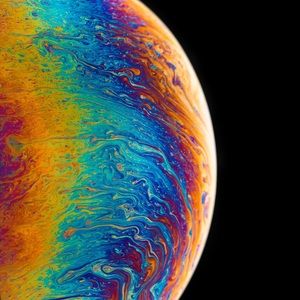 Meet your Posher, Solomon